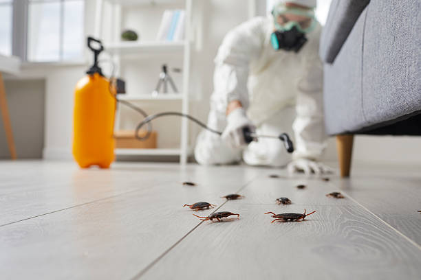 Trusted Rodent Control service in Chapel Hill, NC - Nex Pest Control