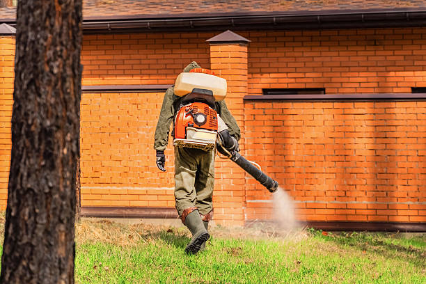 Trusted Ant Control service in Chapel Hill, NC - Nex Pest Control